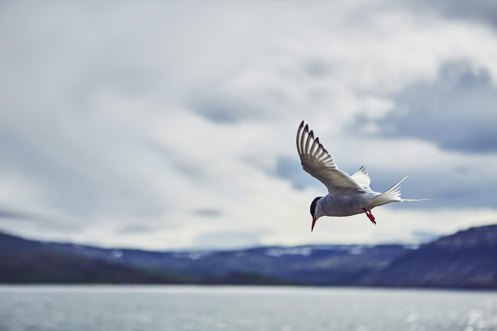 07102018_Iceland_0033